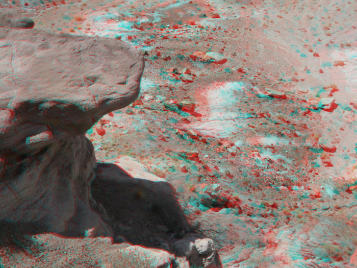 Petrified Forest.png